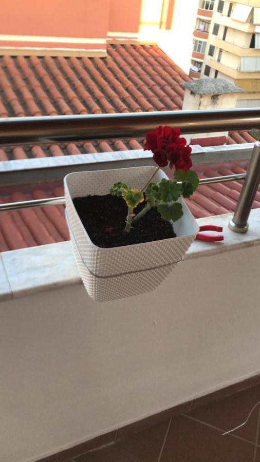 Rooftop Apartament Alexandria Vlore Ngoại thất bức ảnh